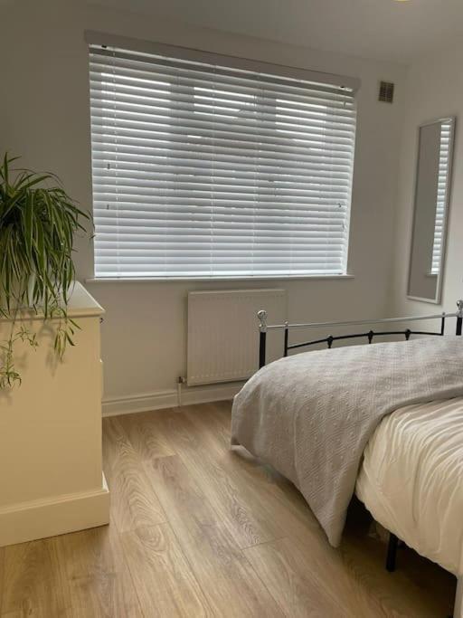 Guest Homes - Fairlie Flat *